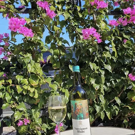 Dave * Nikiti (Sithonia)